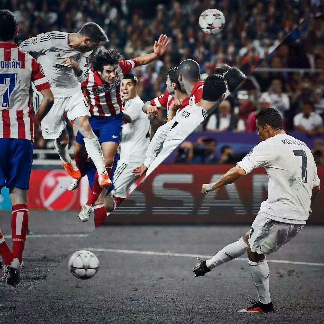 引入的多为 引入的多为